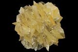 Twinned Selenite Crystals (Fluorescent) - Red River Floodway #130283-1